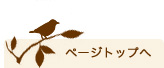 ページトップへ